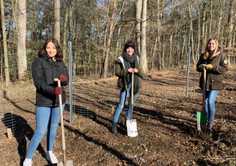 Ein Tag im Wald, im Zeichen der Umwelt und der internationalen Verbundenheit