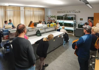 Aquaristik macht Schule am Rhön-Gymnasium Bad Neustadt