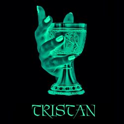 2013-TRISTAN-Logo