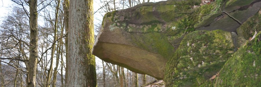 Geo-Wanderung 2021 - Bild 1 - Titelbild.JPG
